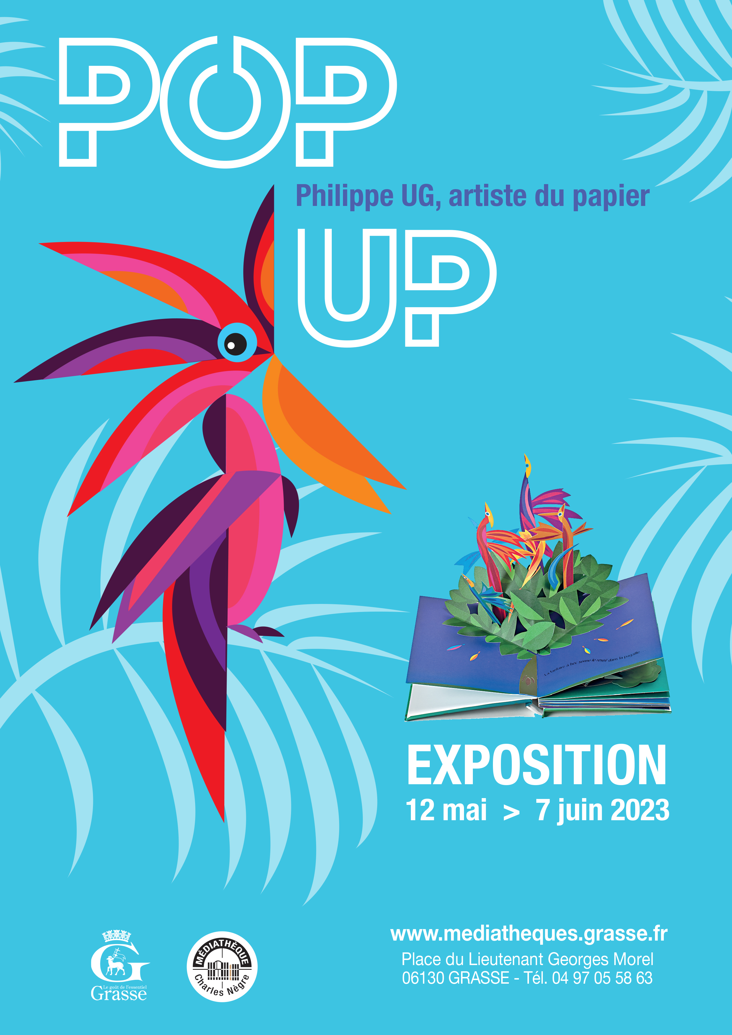 affiche_illustrator_pop_up_oiseaux_v3_copy.jpg